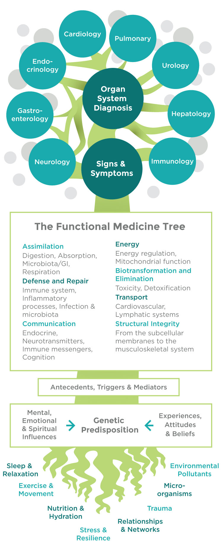 functional medicine Long Island NY