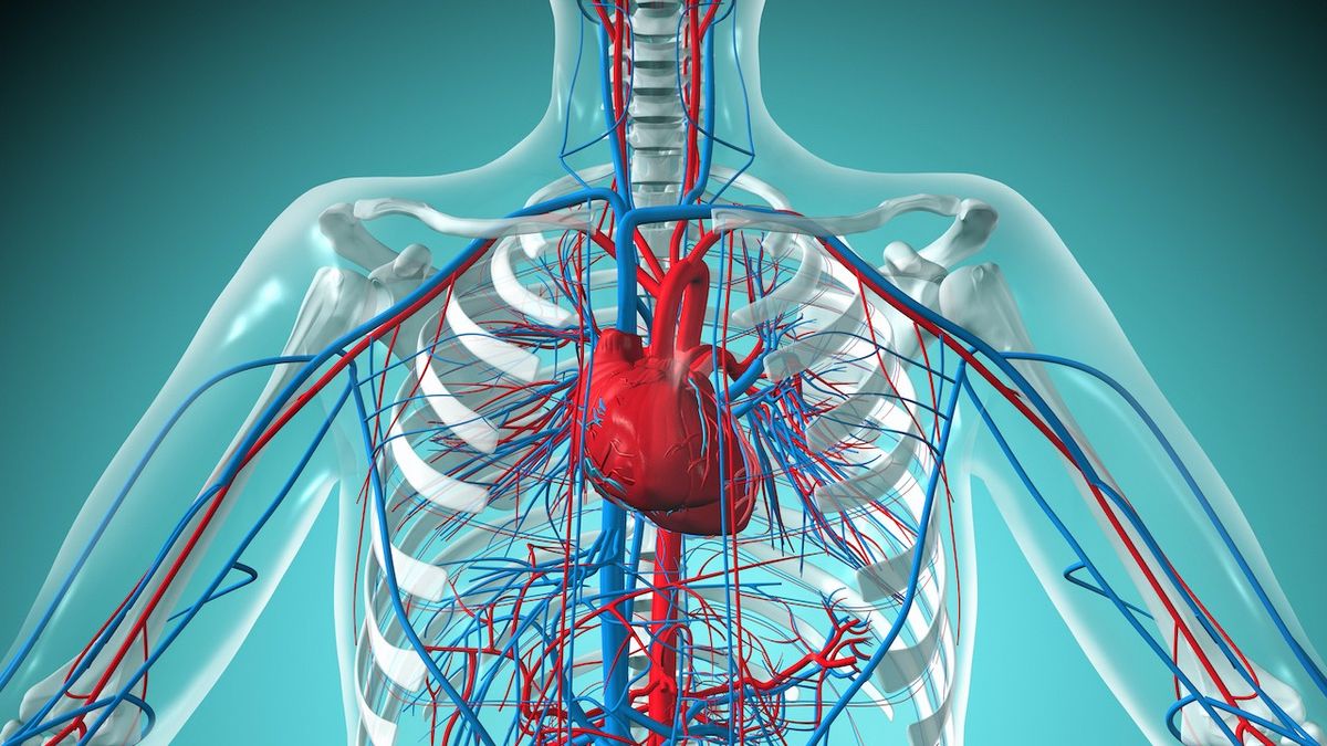 The Myth About Heart Disease, Red Meat & Cholesterol: Unraveling the Truth